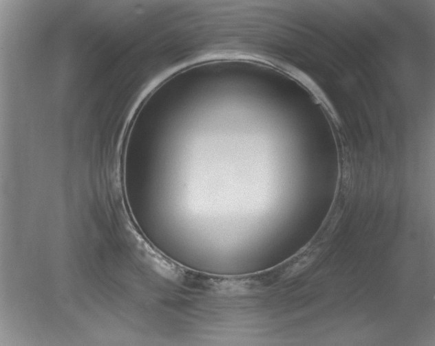 X0000079321004200611171118