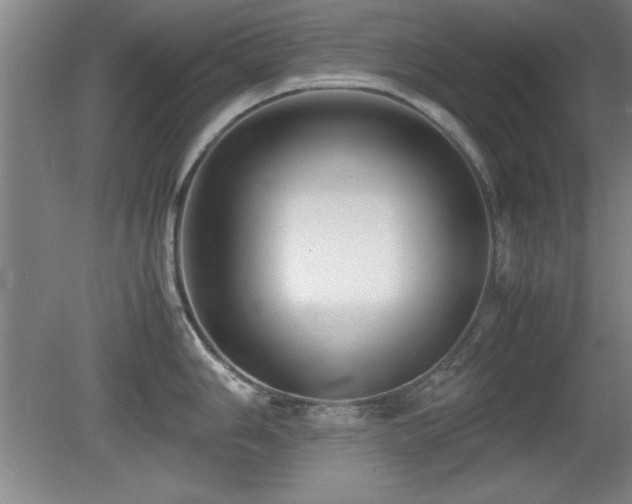 X0000079321006200611171118