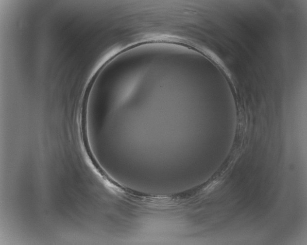 X0000079321007200611171118