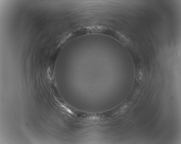 X0000079321010200611171117