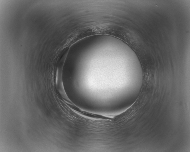 X0000079321012200611171117