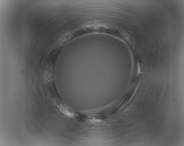 X0000079321014200611171117