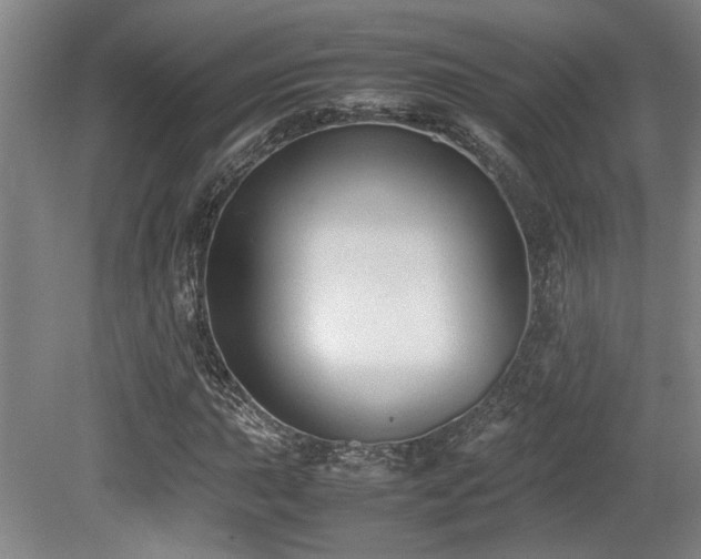 X0000079321015200611171117
