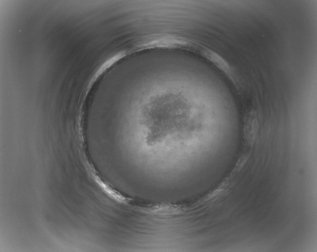 X0000079321026200611171117