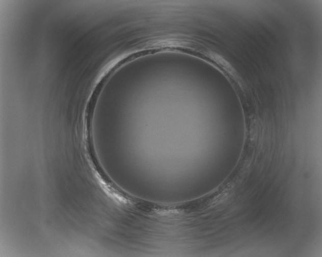 X0000079321031200611171117