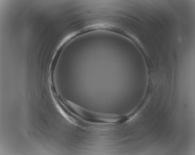 X0000079321034200611171117