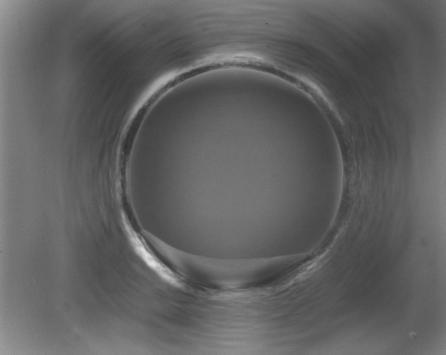 X0000079321038200611171117