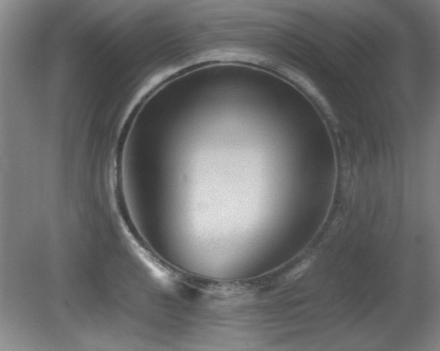 X0000079321040200611171118