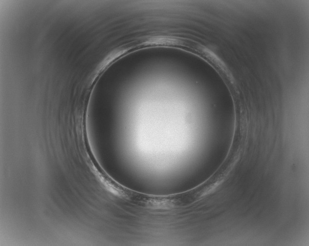X0000079321041200611171118