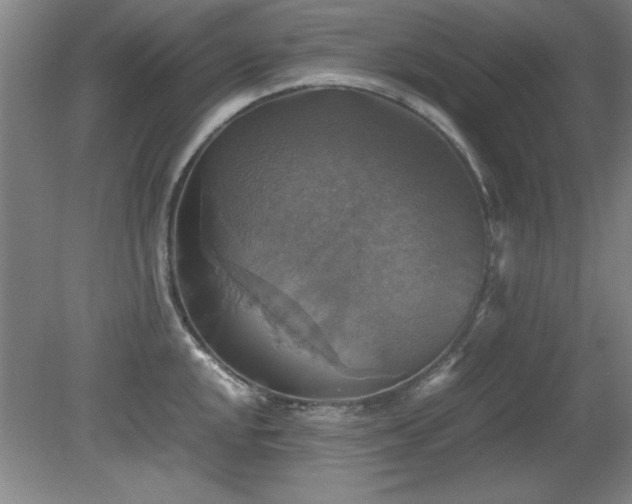 X0000079321048200611171118