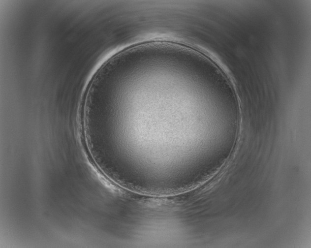 X0000079321056200611171118