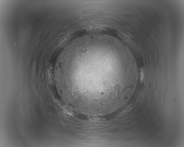 X0000079321059200611171117