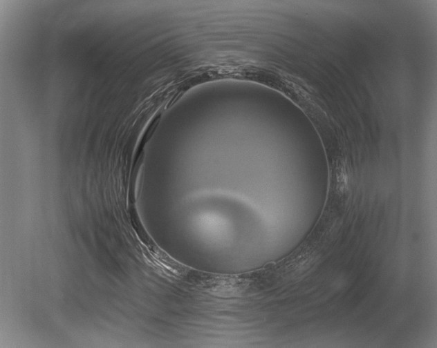 X0000079321060200611171117