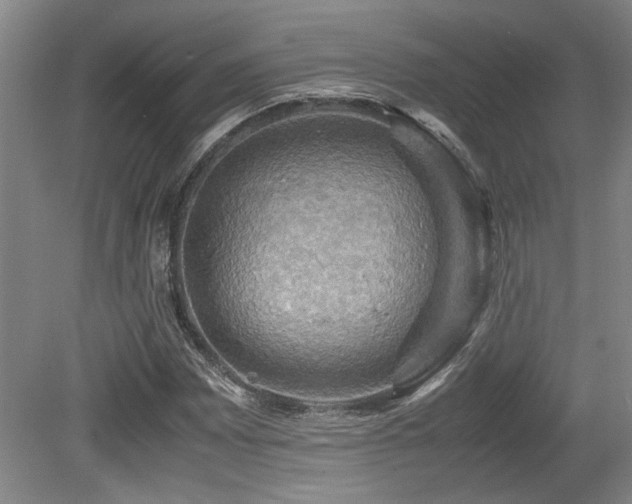 X0000079321065200611171117