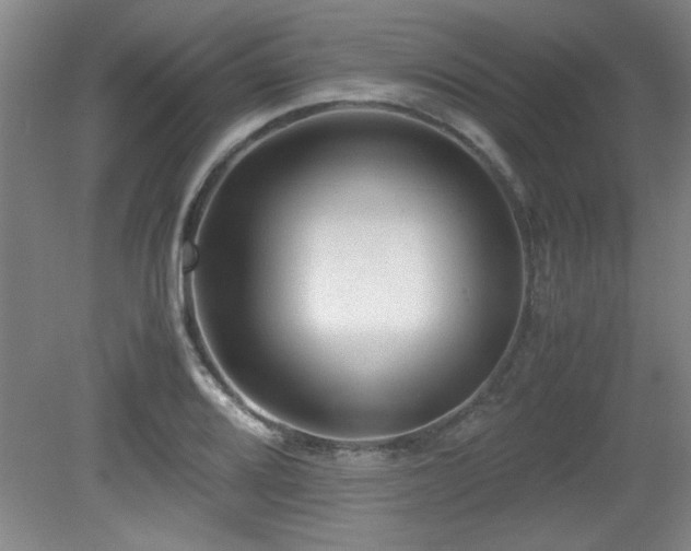 X0000079321080200611171117
