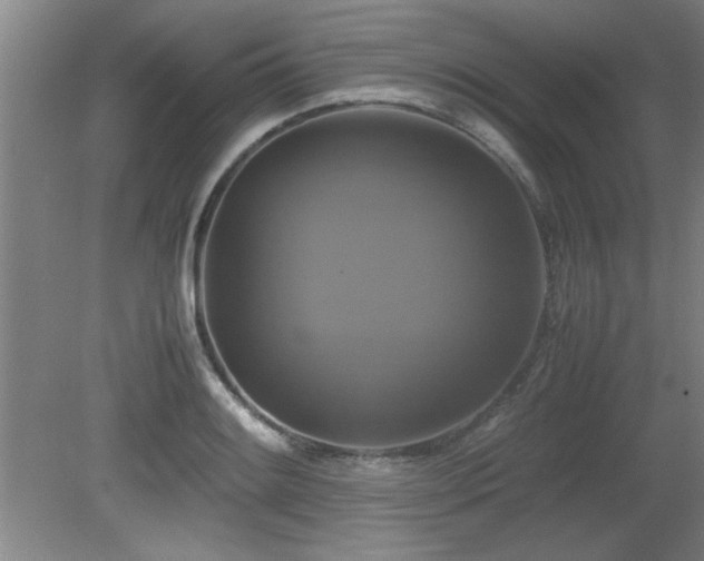 X0000079321084200611171117
