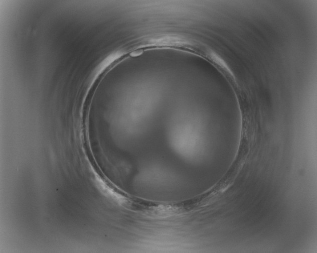 X0000079321087200611171116