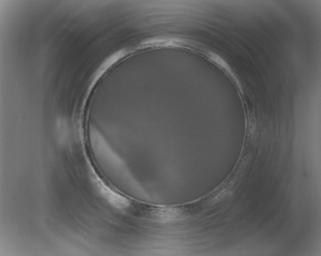 X0000079321090200611171116