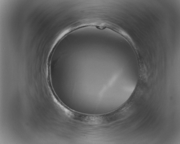 X0000079321095200611171116