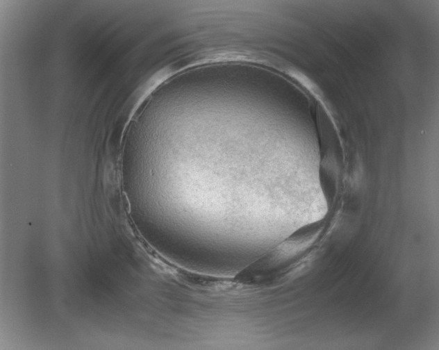 X0000079321097200611171116