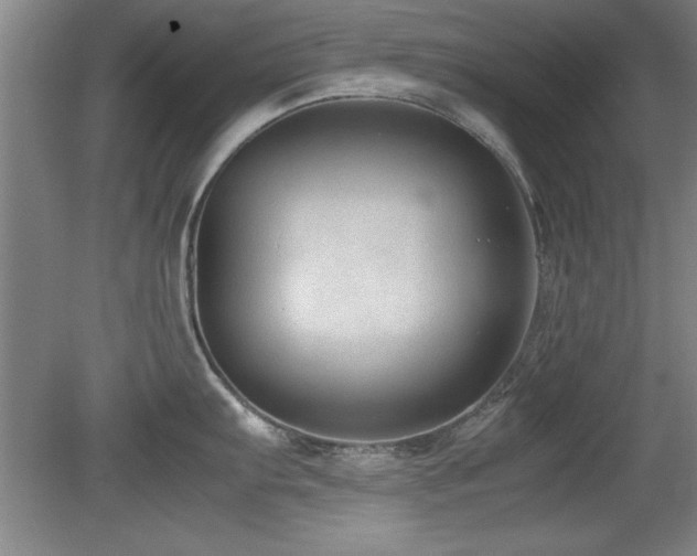 X0000079321103200611171116