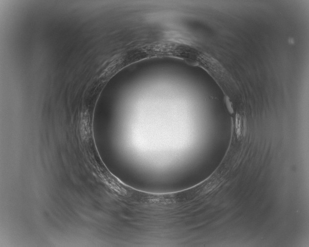 X0000079321107200611171115