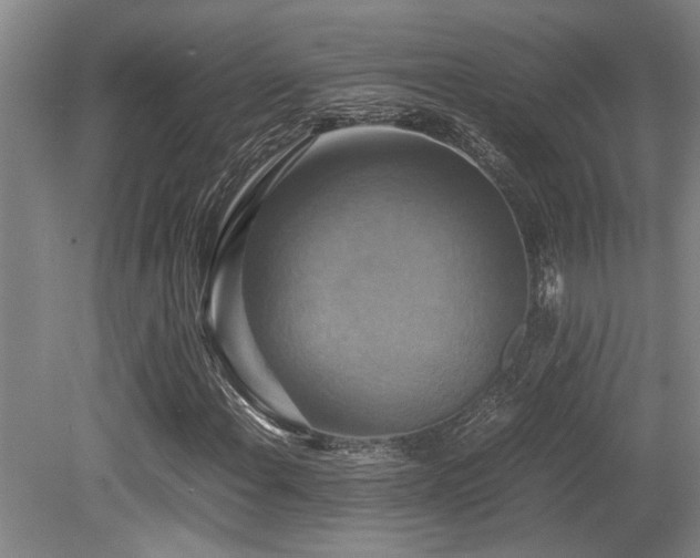 X0000079321108200611171115