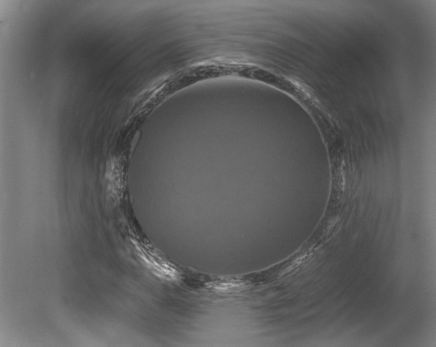 X0000079321110200611171115