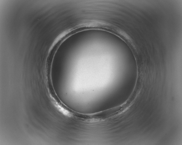 X0000079321122200611171116