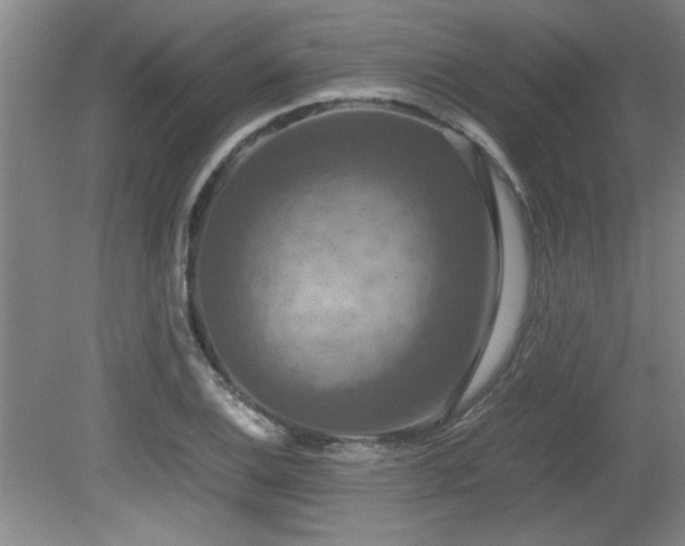 X0000079321124200611171116