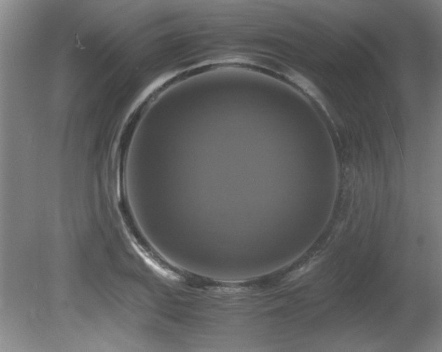 X0000079321127200611171116