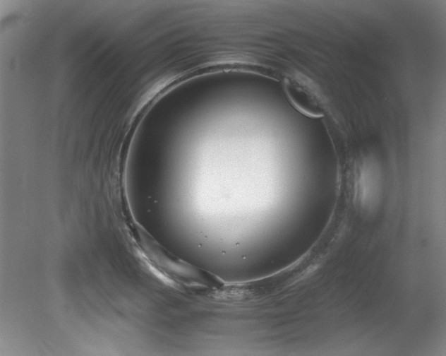 X0000079321129200611171116