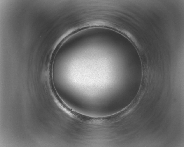 X0000079321134200611171116