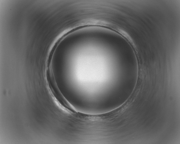 X0000079321136200611171116