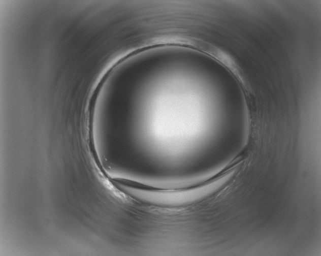 X0000079321140200611171116