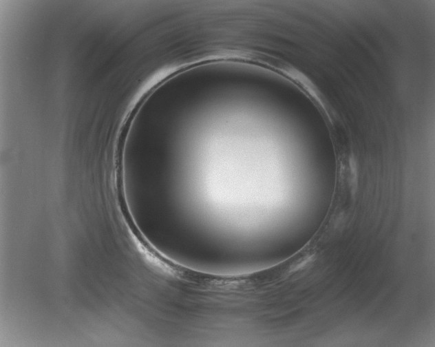 X0000079321143200611171116