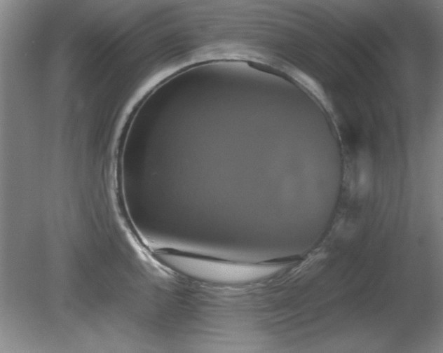X0000079321144200611171116