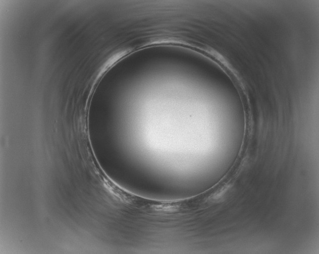 X0000079321145200611171116