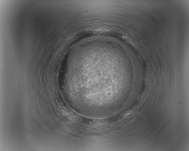 X0000079321153200611171115