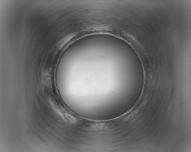 X0000079321162200611171115