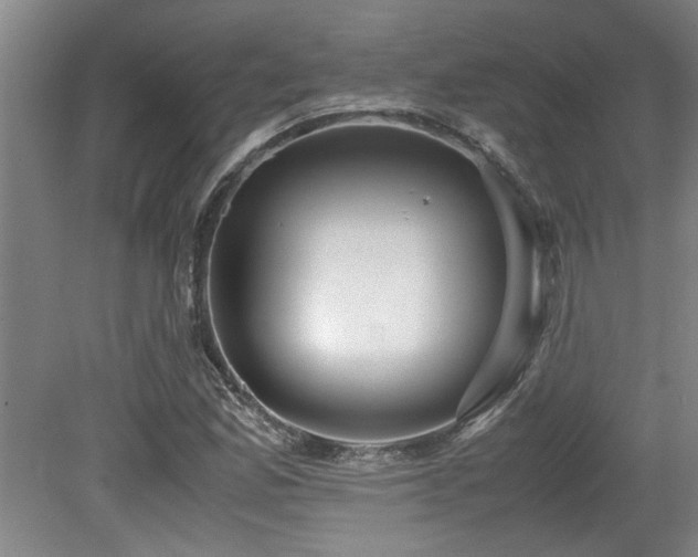 X0000079321165200611171115