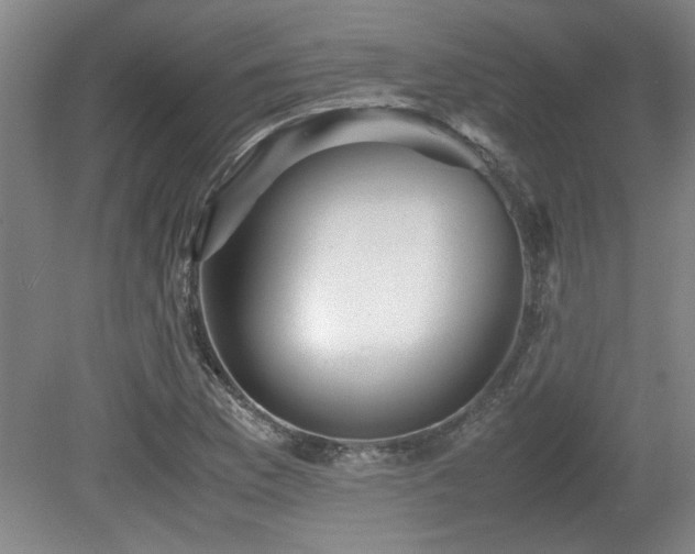 X0000079321169200611171115