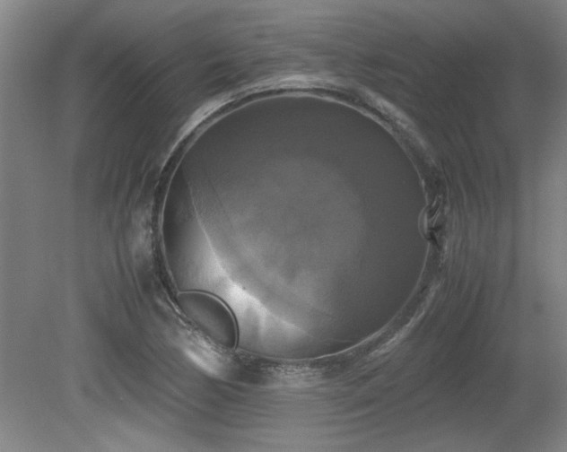 X0000079321170200611171115