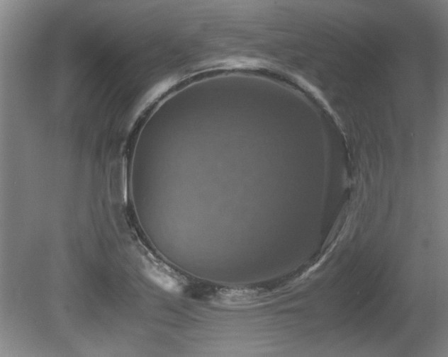 X0000079321171200611171115