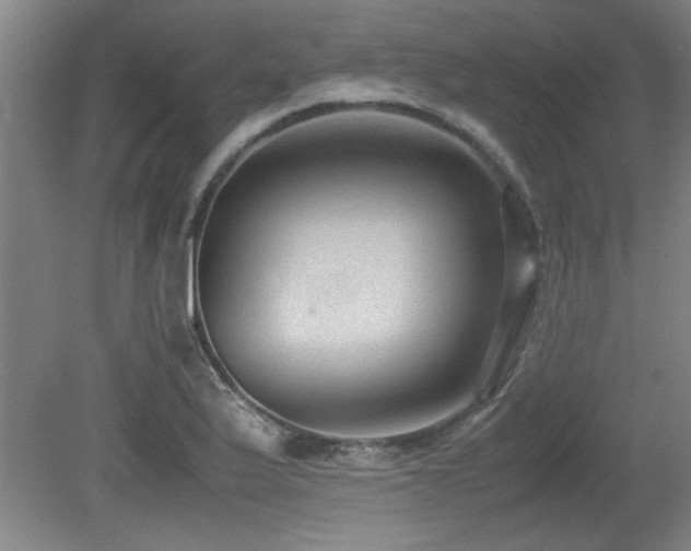 X0000079321175200611171115