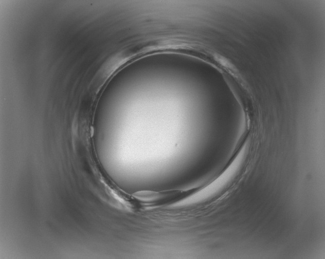 X0000079321177200611171115