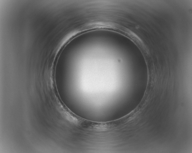 X0000079321182200611171115