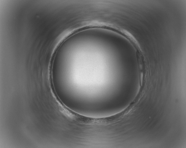 X0000079321183200611171115