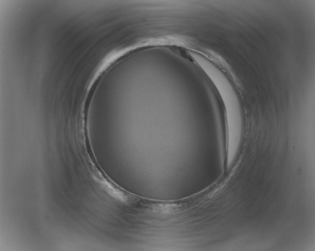 X0000079321184200611171115