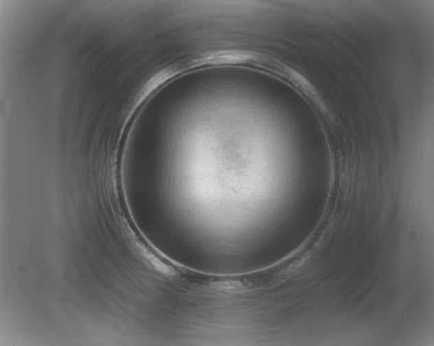 X0000079321186200611171115